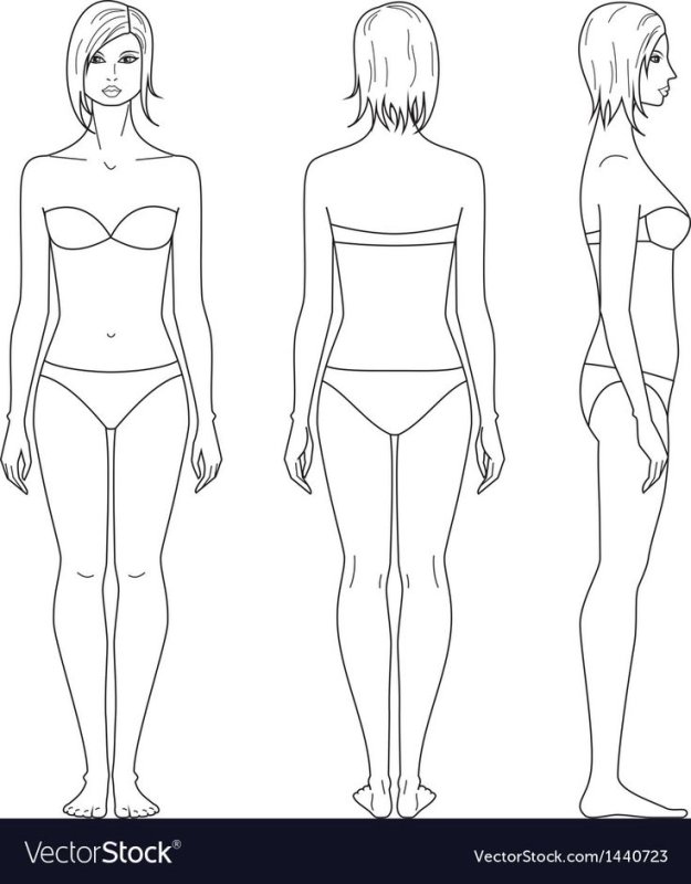 Эскиз фигуры