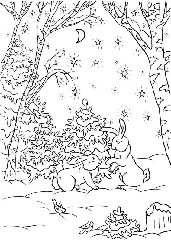 В лесу. Раскраска