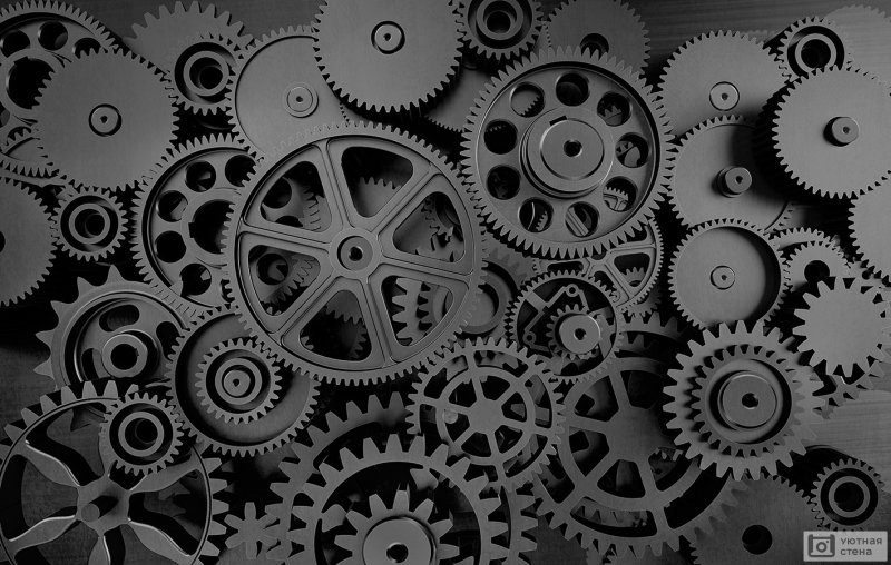 Шестерня черно белая