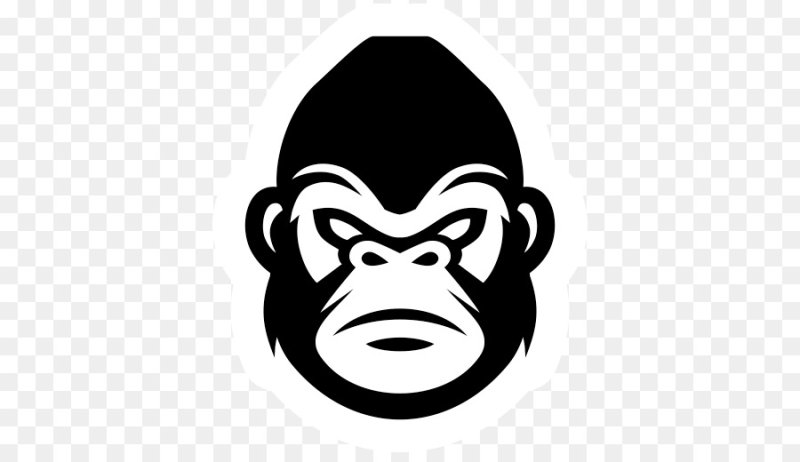 Голова гориллы на белом фоне