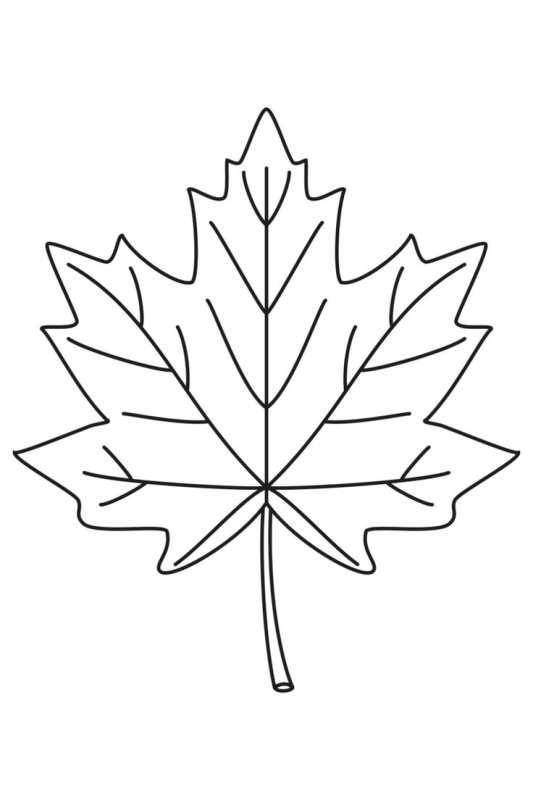 Осенние листья трафареты для вырезания