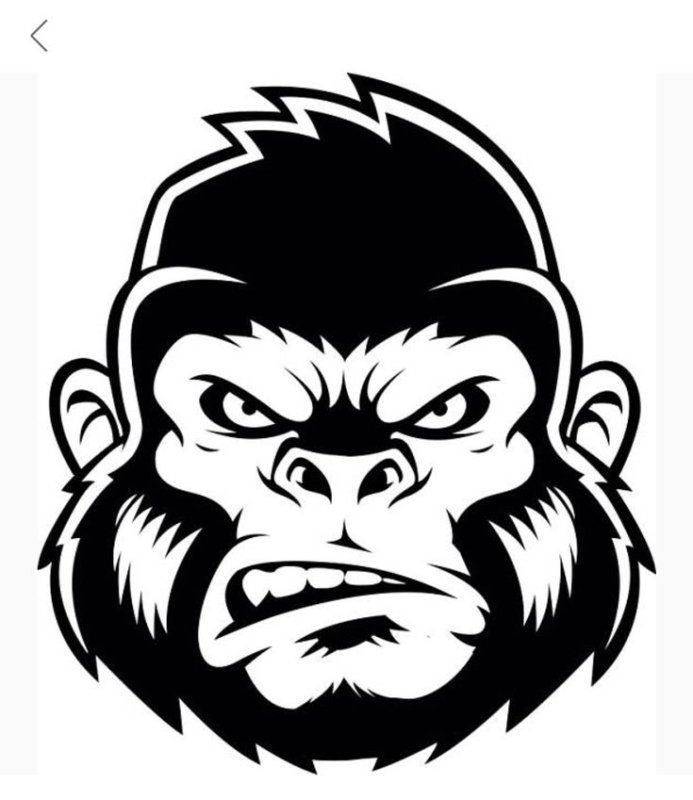 Эскиз головы обезьяны