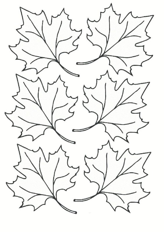 Кленовый лист раскраска