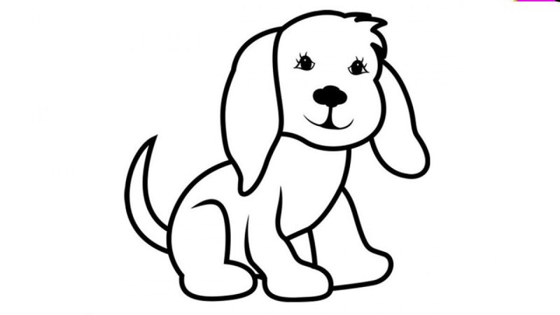 Раскраска "собаки"