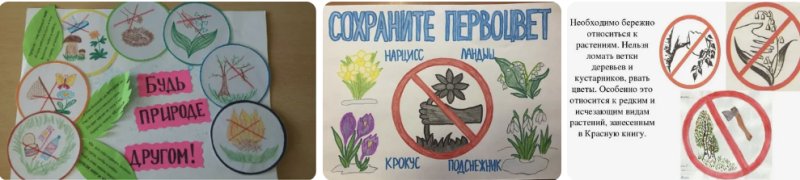 Плакат берегите растения