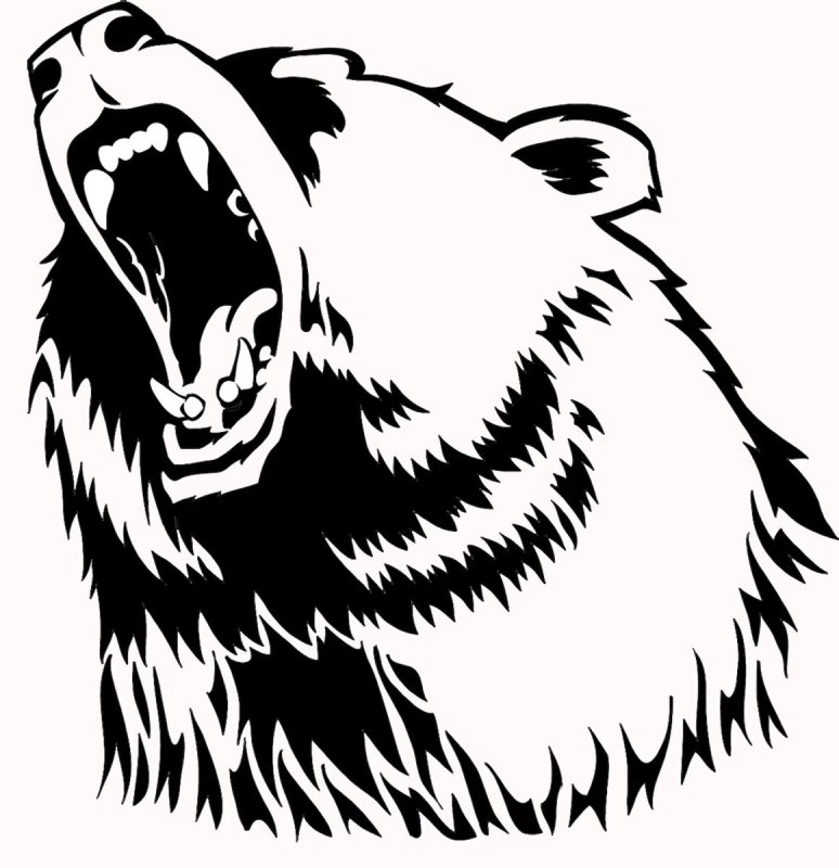 Медведь вектор
