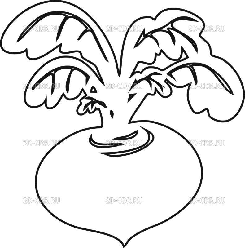 Репка раскраска для детей