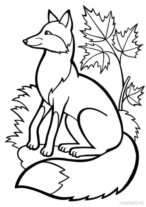 Раскраска лиса