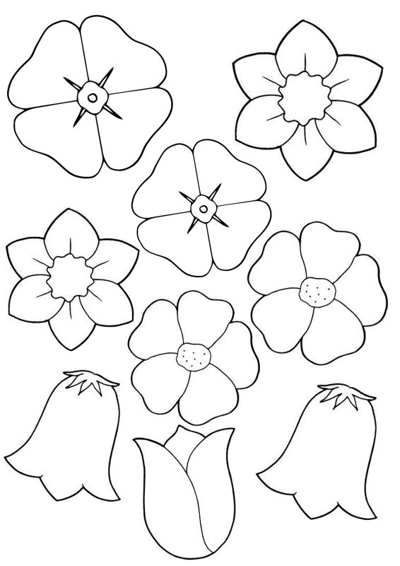 Шаблоны цветов для печати