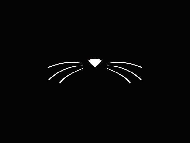 Кошачьи усы на темном фоне