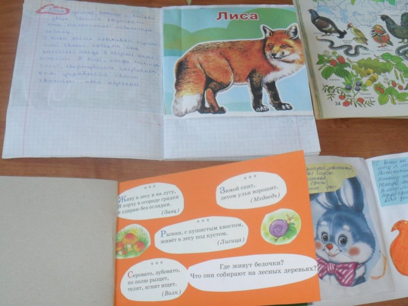 Книжку про животных своими руками своими руками