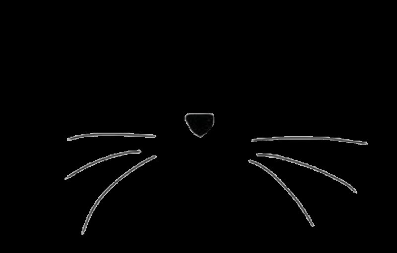 Кошачьи усики