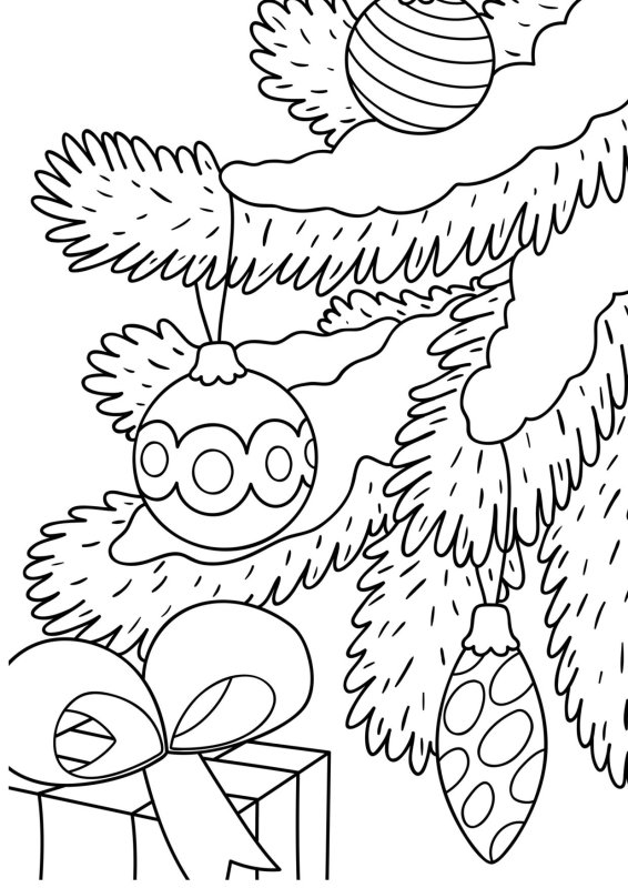 Веточка ели раскраска