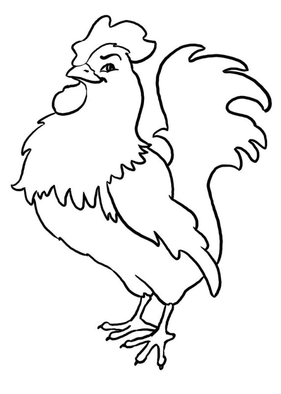 Петух раскраска