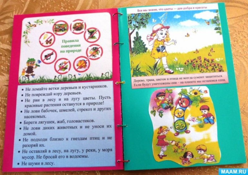 Книжка Малютка по окружающему миру