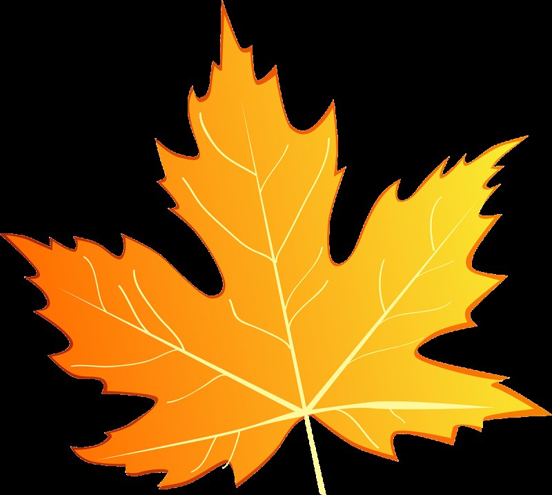 Лист клёна рисунок