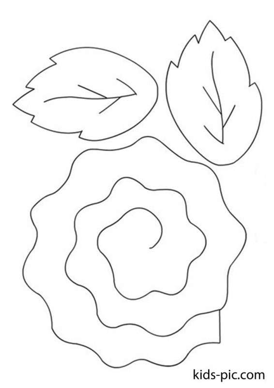 Листочки для цветов шаблоны для вырезания
