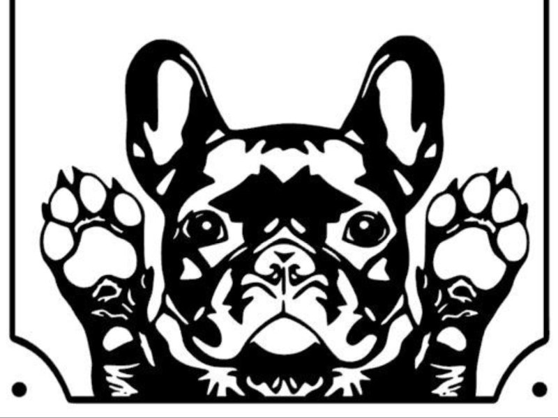 Французский бульдог