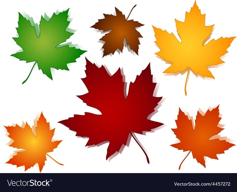 Цветной лист