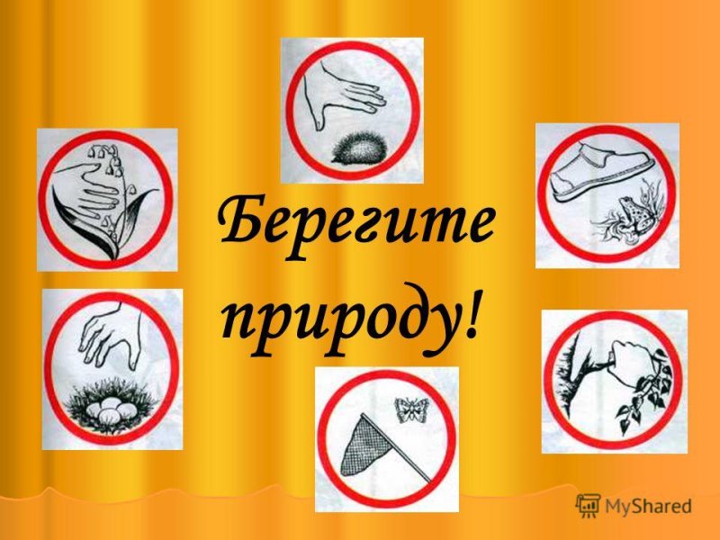 Берегите природу