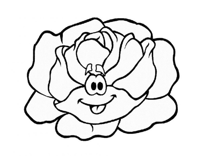 Капуста раскраска