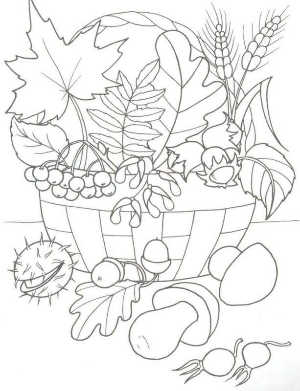 Осень раскраска для детей