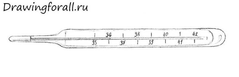 Рисунок шкалы ртутного градусника