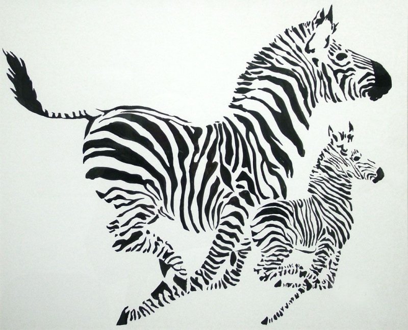 Зебра рисунок