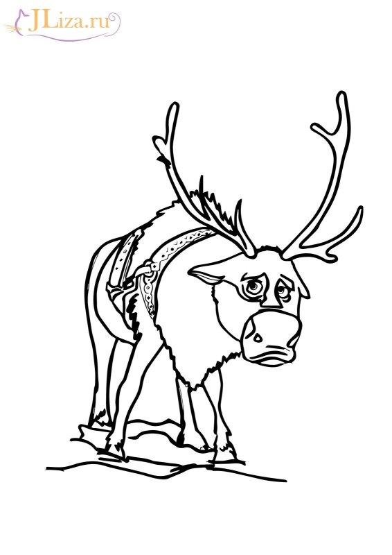 Олень из холодного сердца раскраска