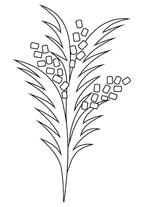 Раскраска веточка мимозы для малышей
