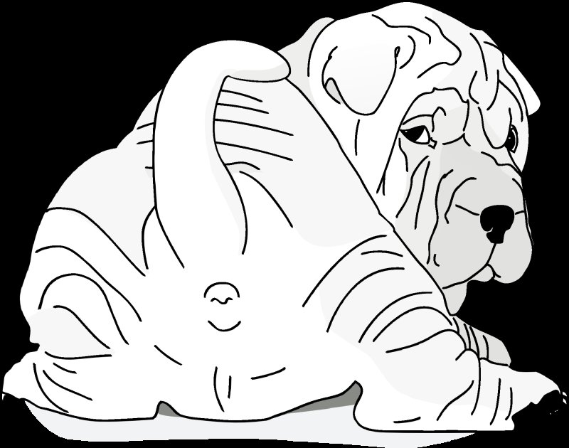 Собака шарпей