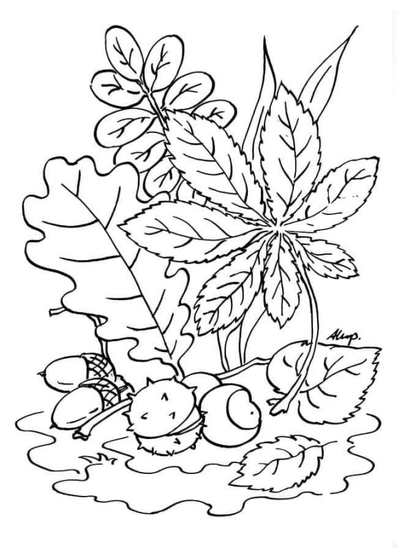 Осень раскраска для детей