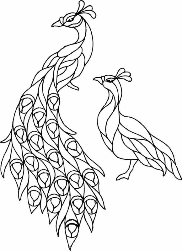 Трафареты павлинов