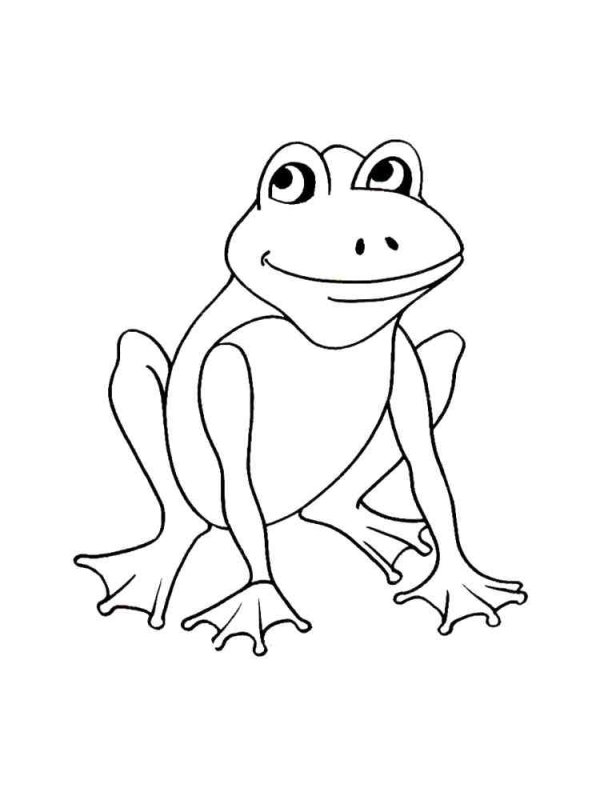 Лягушка раскраска