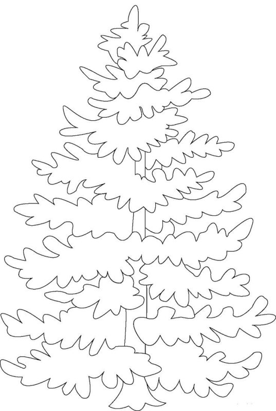 Ель раскраска для детей
