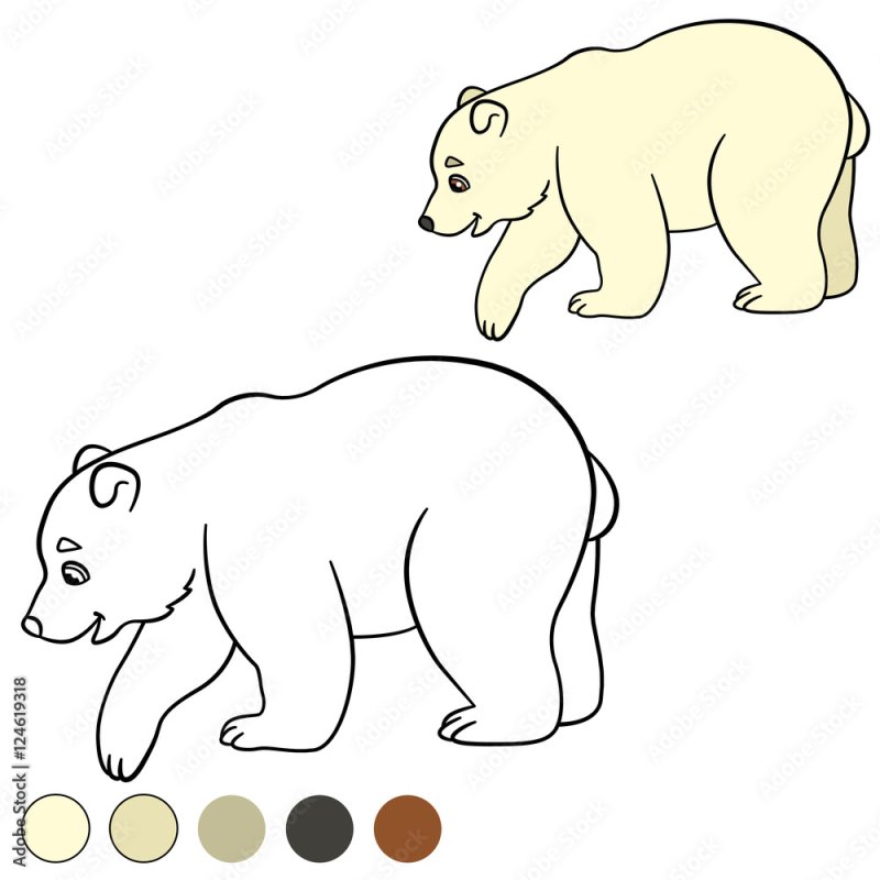 Медведь раскраска