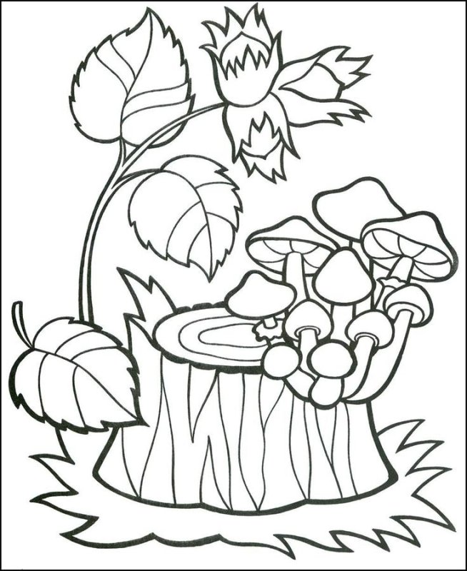 Раскраски осень для детей 5-6 лет