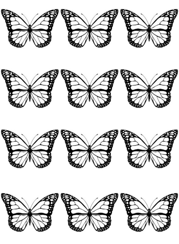 Бабочка шаблон для печати