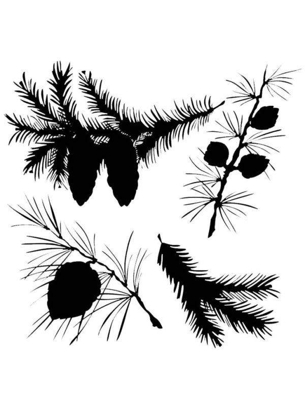 Веточки новогодние трафареты