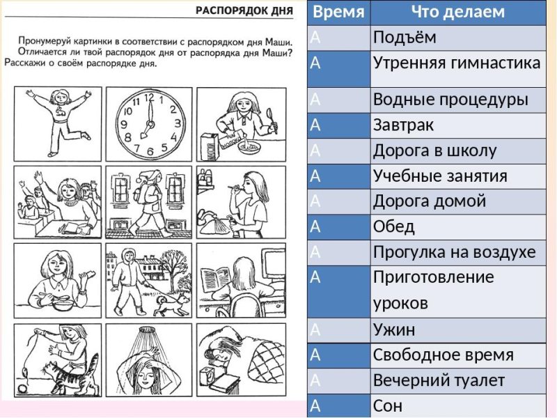 Режим дня задания