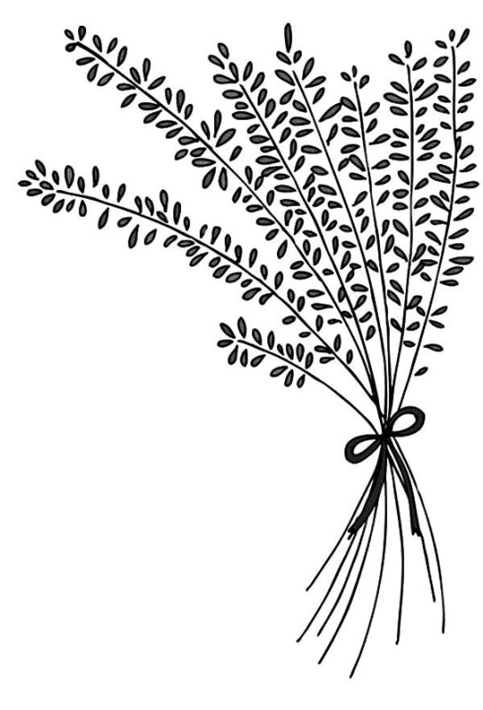 Веточка лаванды