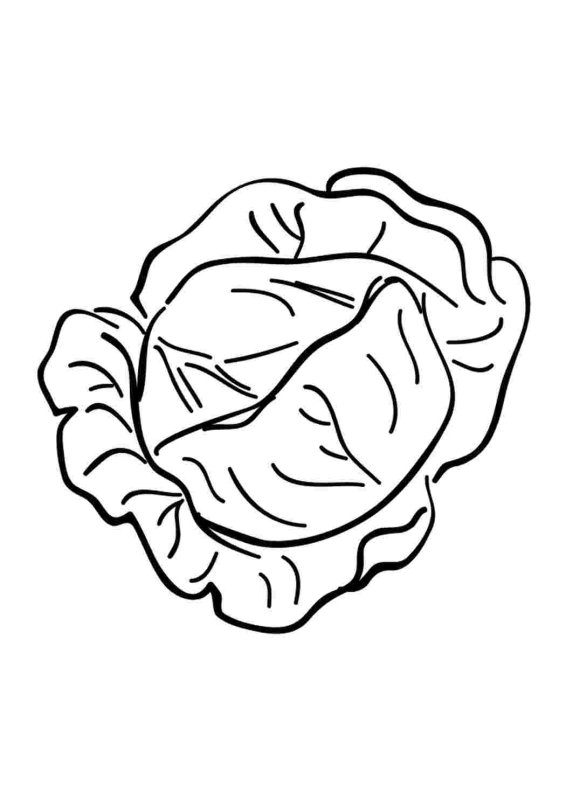 Капуста раскраска