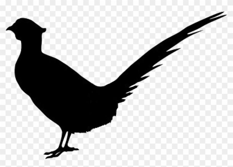 Фазан силуэт