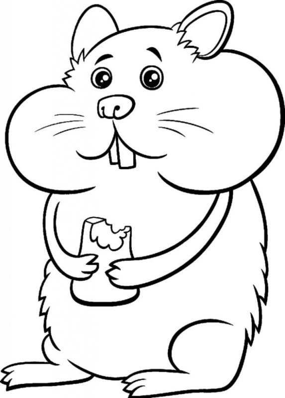 Хомячок раскраска для детей