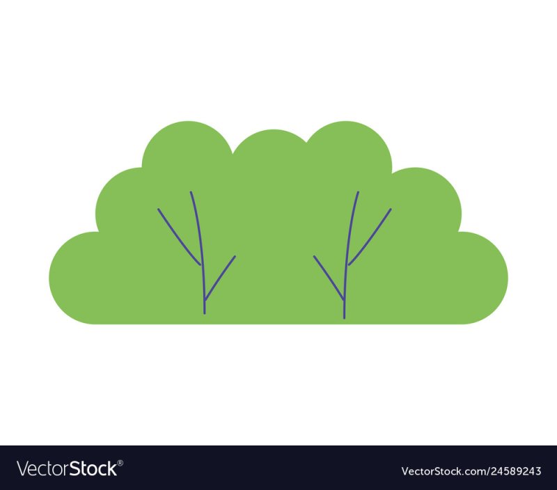 Контур кустарника