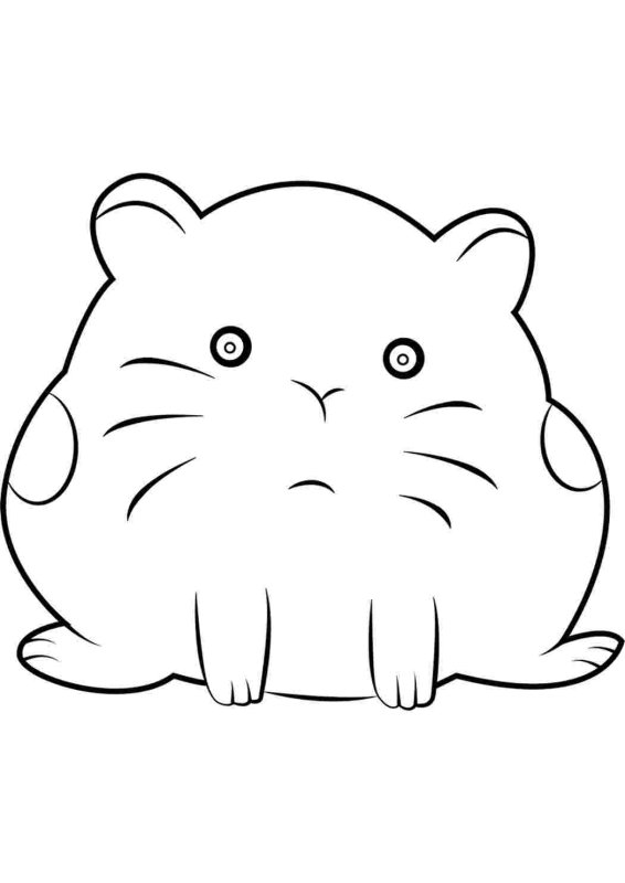 Раскраска хомяк