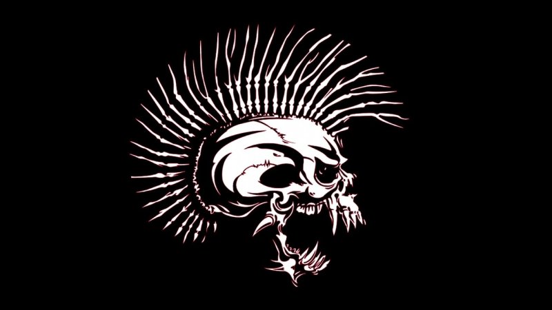 Панк группа эксплойтед