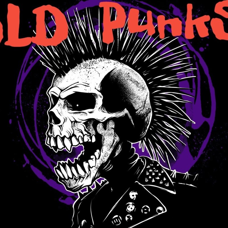 Exploited череп с ирокезом