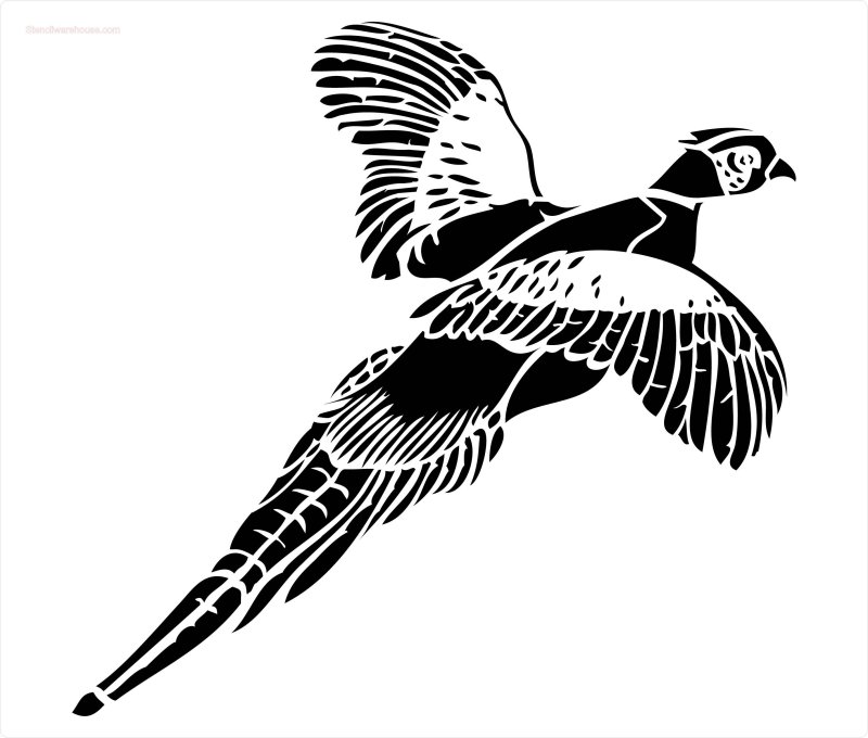 Фазан силуэт