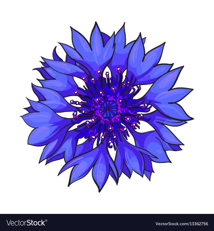 Василек для вырезания